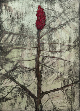 Sumac (Rhus typhina)