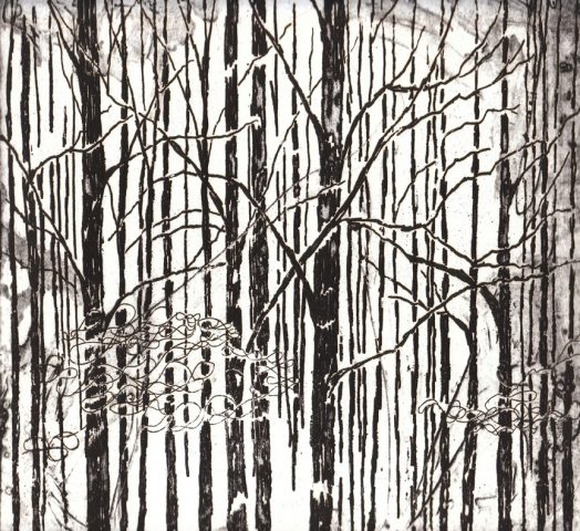 Dense Forest